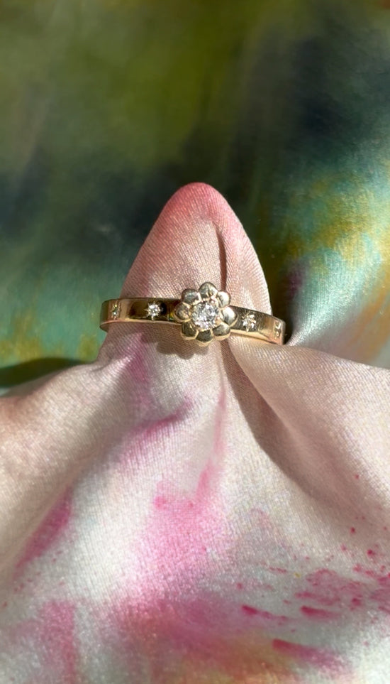 Happy Flowers ❀ Diamond Daisy