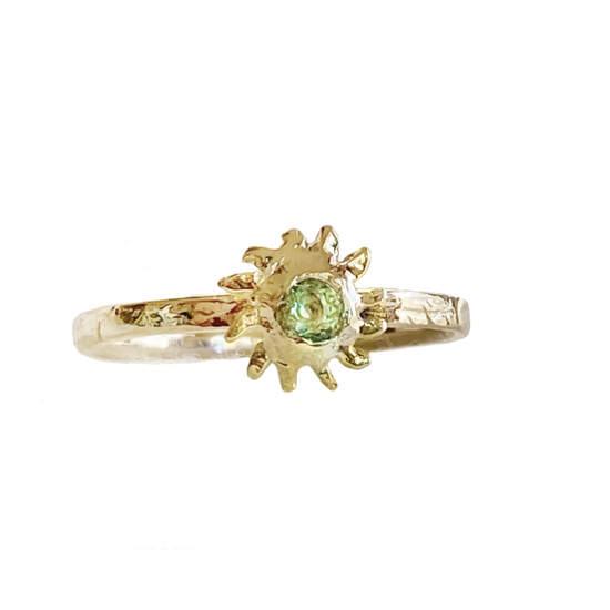 Miraculous Sun Path Ring